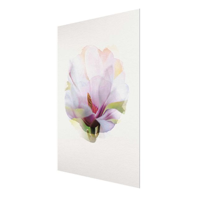 Cuadros decorativos WaterColours - Delicate Magnolia Blossom