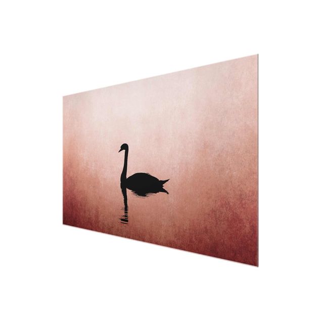 Reproducciónes de cuadros Swan In Sunset