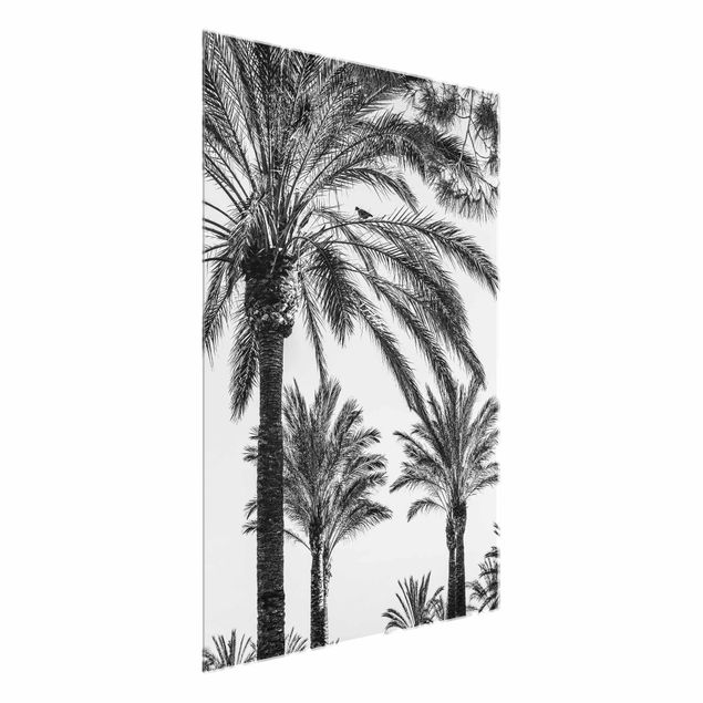 Cuadros de cristal flores Palm Trees At Sunset Black And White