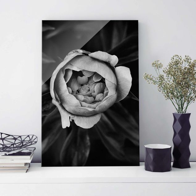 Tableros magnéticos de vidrio Peonies In Front Of Leaves Black And White