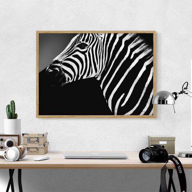 Cuadrs cebras Zebra Safari Art