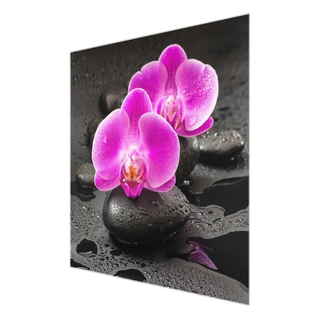 Cuadros de flores Pink Orchid Flower On Stones With Drops