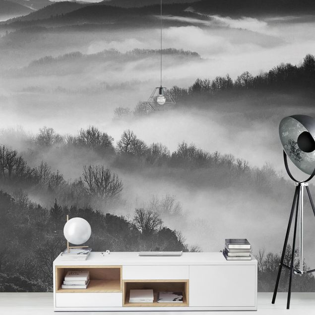Papeles pintados modernos Fog At Sunset Black And White