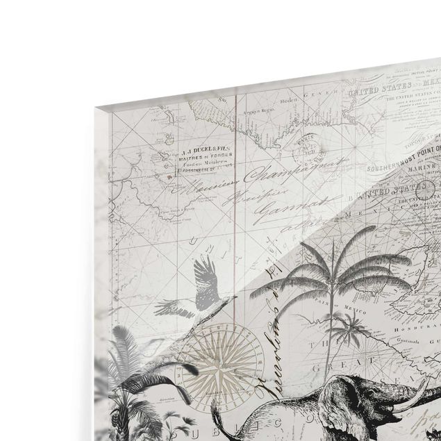 Cuadros de cristal blanco y negro Vintage Collage - Exotic Map