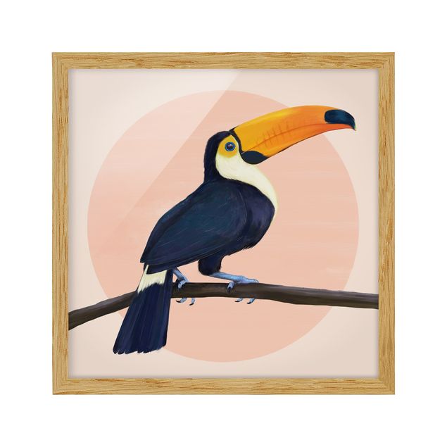 Cuadros modernos Illustration Bird Toucan Painting Pastel