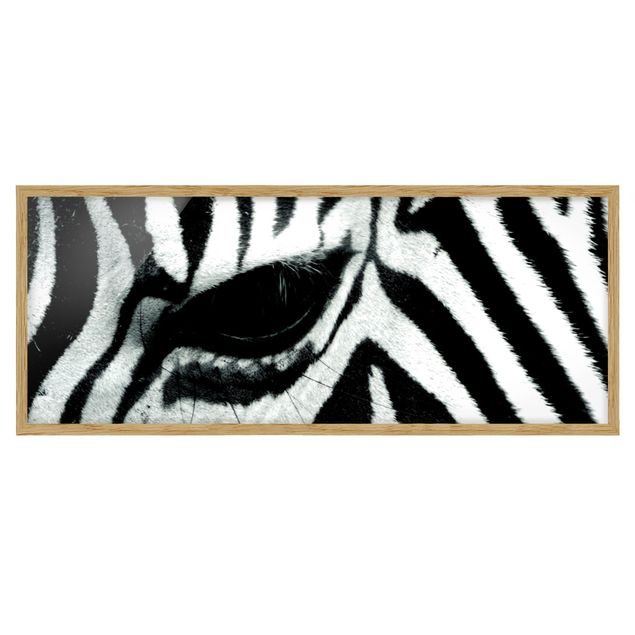Pósters enmarcados de animales Zebra Crossing