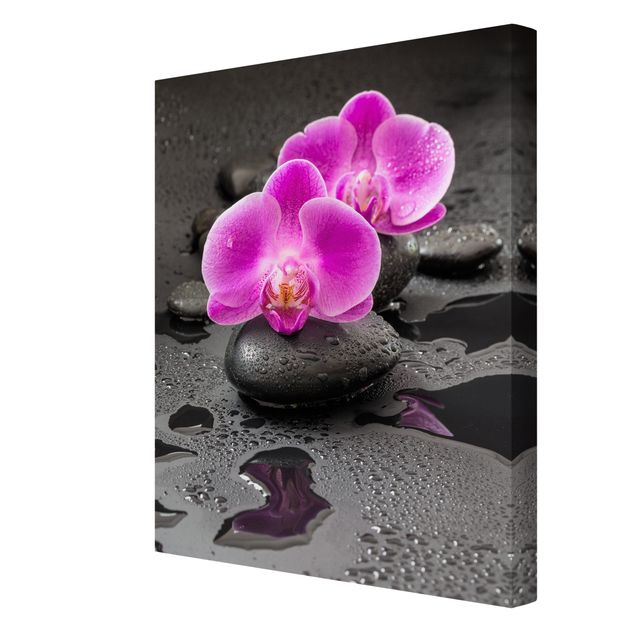 Cuadros plantas Pink Orchid Flower On Stones With Drops