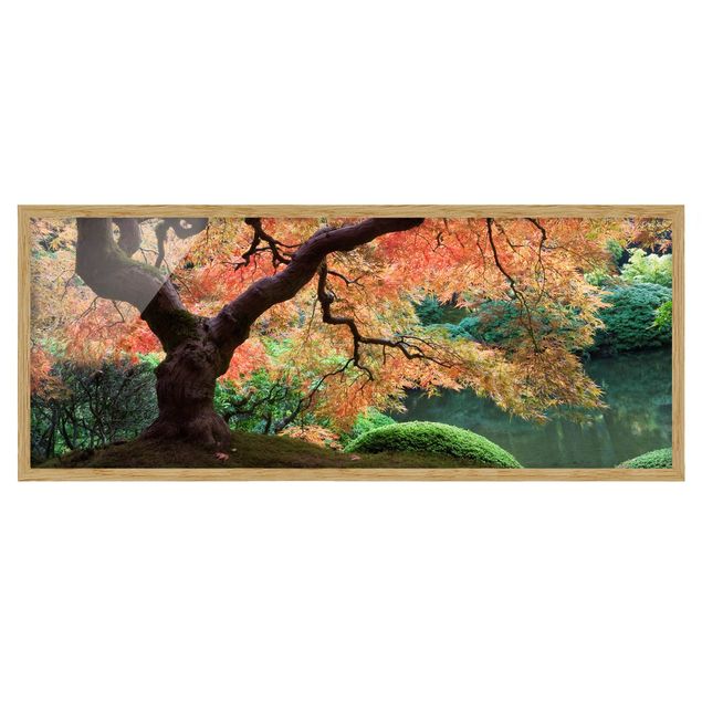 Pósters enmarcados de paisajes Japanese Garden
