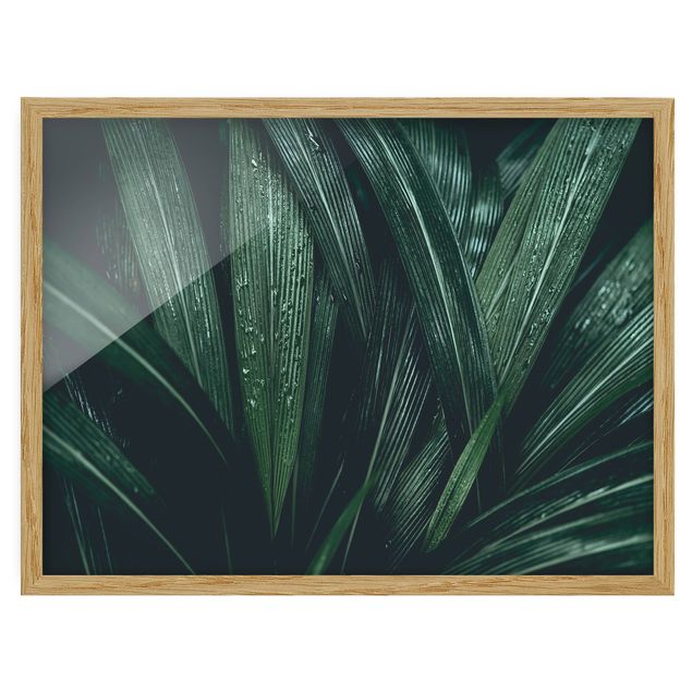 Cuadros flores Green Palm Leaves