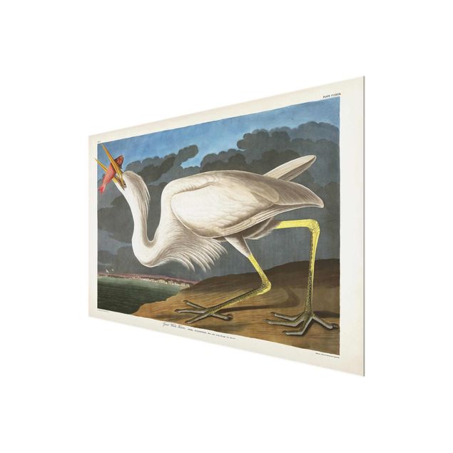 Cuadros Vintage Board Great White Egret