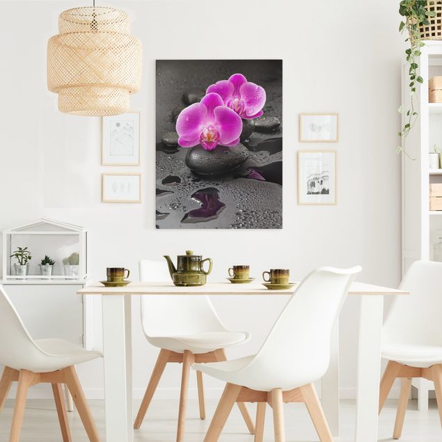 Lienzos de orquídeas Pink Orchid Flower On Stones With Drops