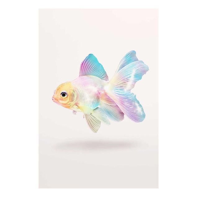 Cuadros modernos y elegantes Fish In Pastel