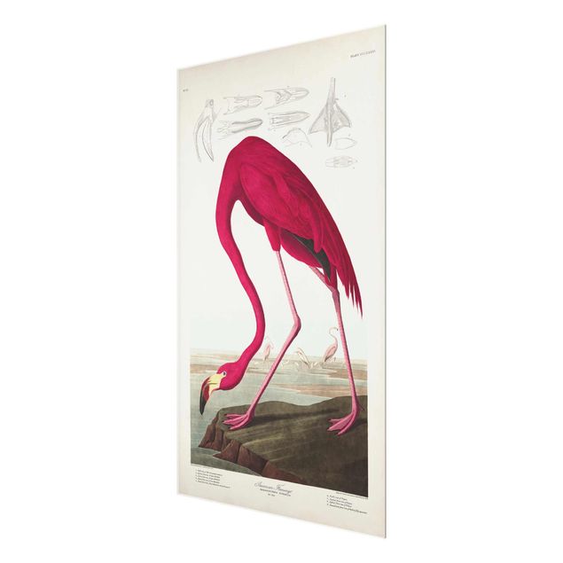 Tableros magnéticos de vidrio Vintage Board American Flamingo