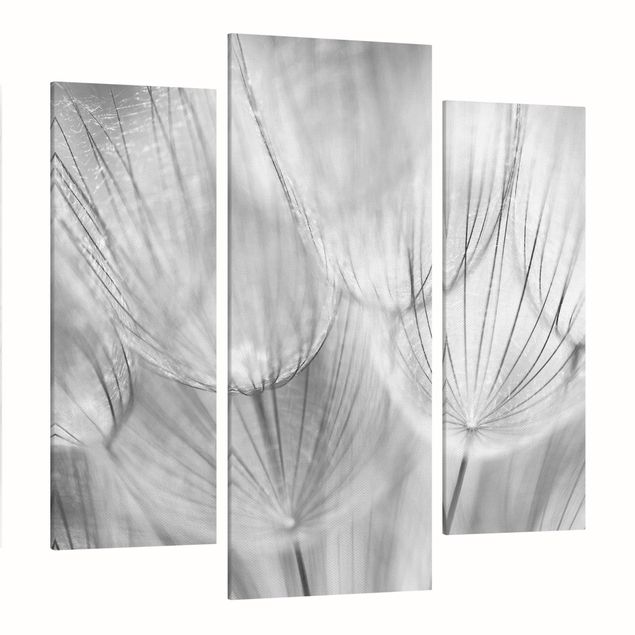 Cuadros en lienzo de flores Dandelions Macro Shot In Black And White