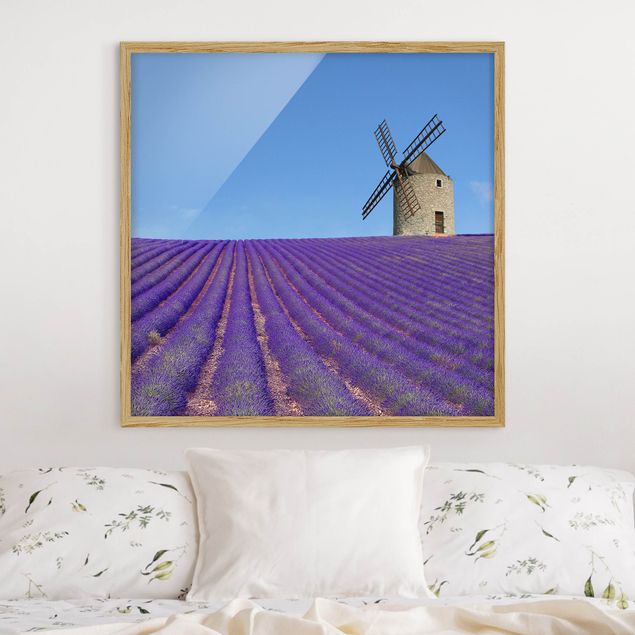 Decoración en la cocina Lavender Scent In The Provence