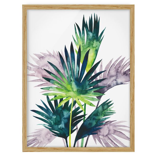 Cuadros de flores Exotic Foliage - Fan Palm