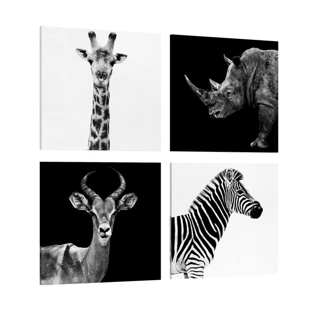 Lienzos blanco y negro Safari Quartet