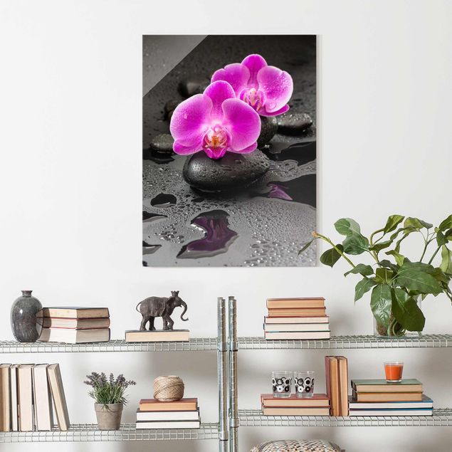 Decoración cocina Pink Orchid Flower On Stones With Drops
