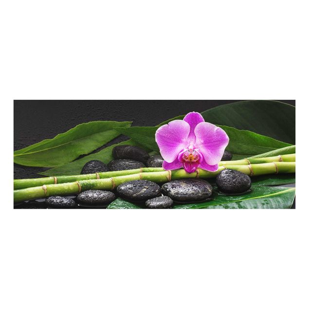 Cuadros de cristal flores Green Bamboo With Orchid Flower