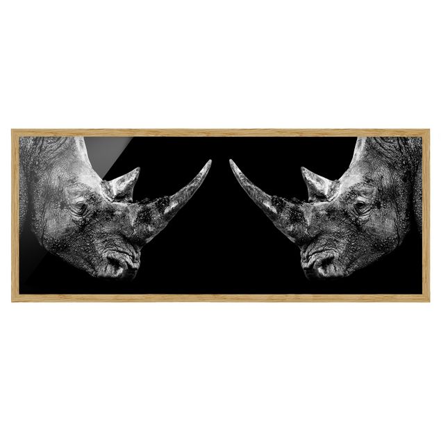 Pósters enmarcados de animales Rhino Duel