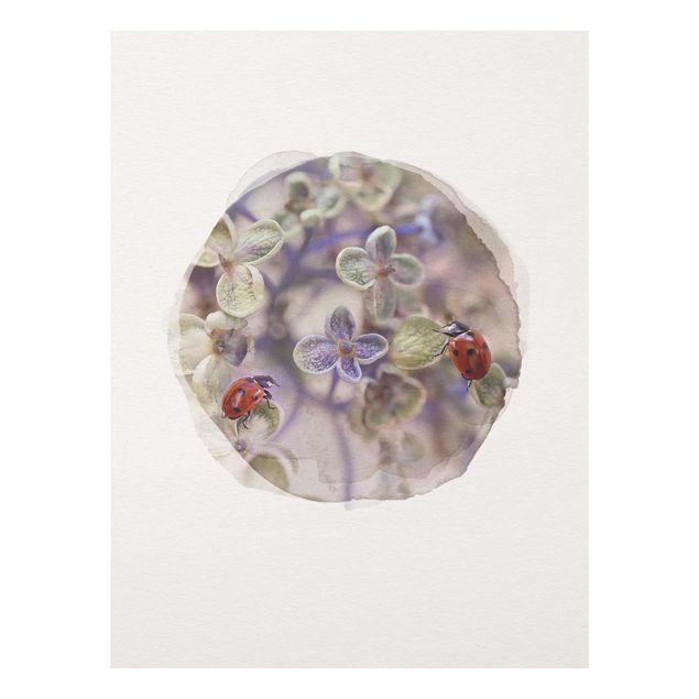 Cuadros flores WaterColours - Ladybugs In The Garden