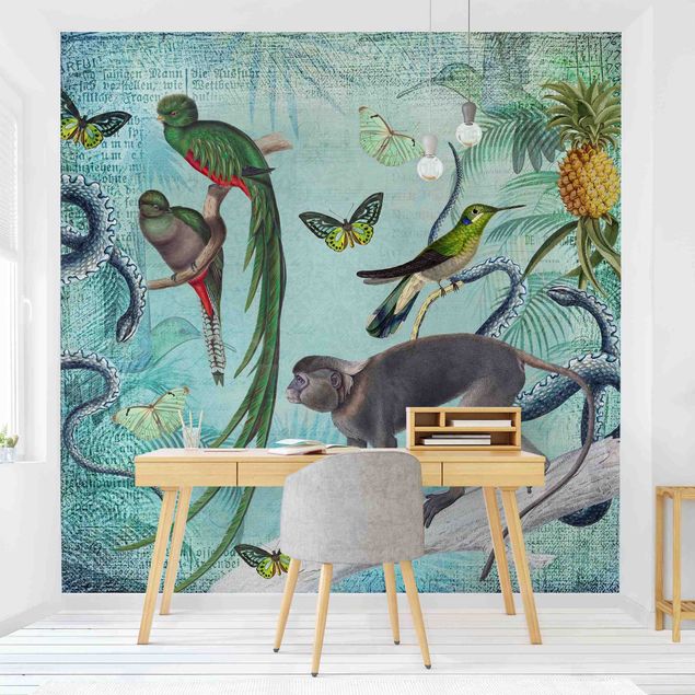 Papel pintado de mariposas Colonial Style Collage - Monkeys And Birds Of Paradise