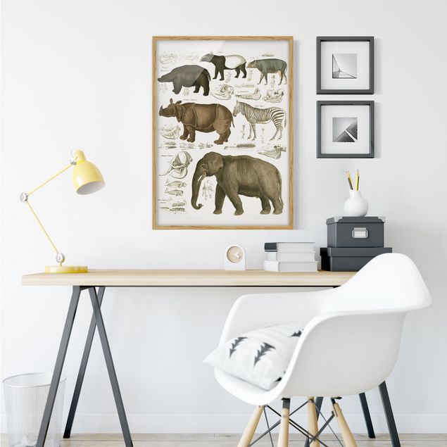 Cuadro elefante colores Vintage Board Elephant, Zebra And Rhino