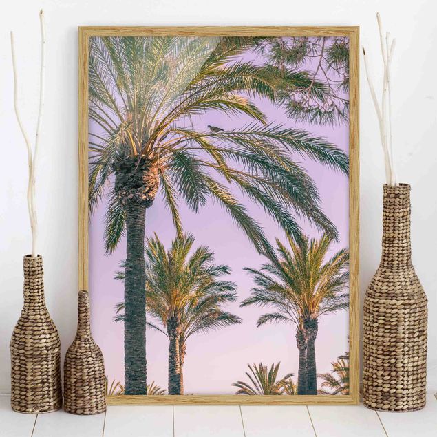 Decoración de cocinas Palm Trees At Sunset