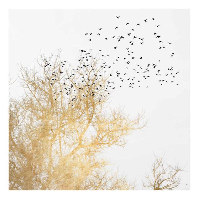 Cuadros de cristal animales Flock Of Birds In Front Of Golden Tree