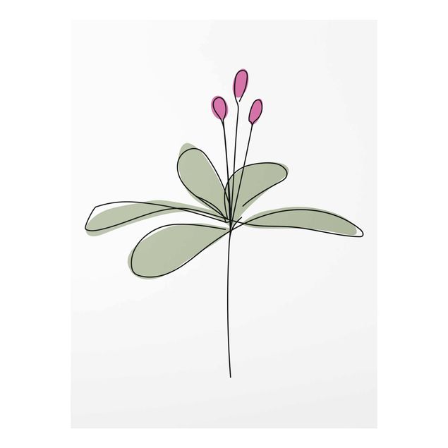 Cuadros plantas Lily Line Art