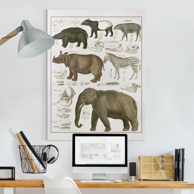Lienzos elefantes Vintage Board Elephant, Zebra And Rhino
