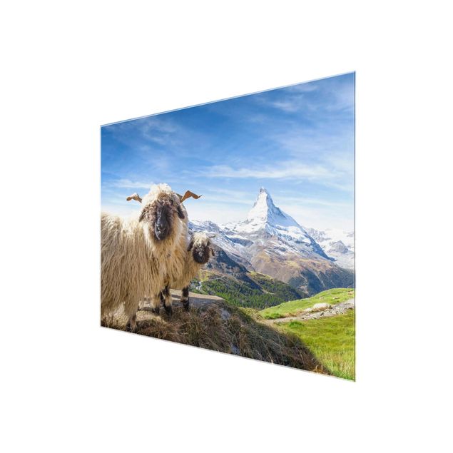 Cuadros de cristal arquitectura y skyline Blacknose Sheep Of Zermatt