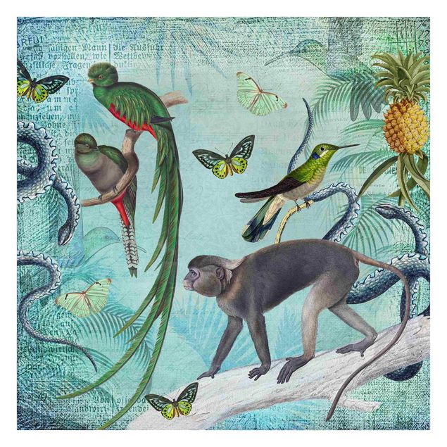 Papel pared animales Colonial Style Collage - Monkeys And Birds Of Paradise