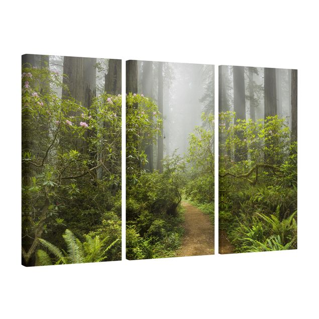 Lienzos de paisajes Misty Forest Path