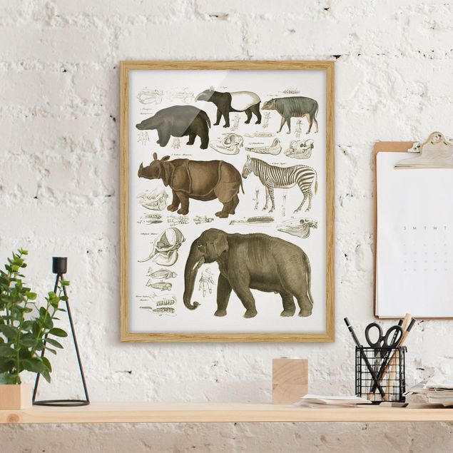 Decoración en la cocina Vintage Board Elephant, Zebra And Rhino