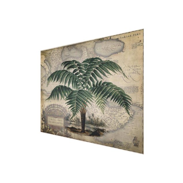 Cuadros tonos verdes Vintage Collage - Palm And World Map