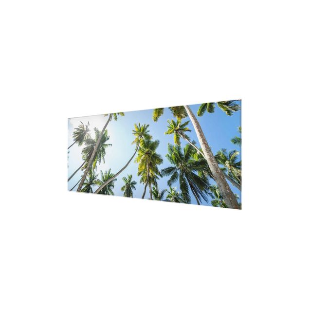 Cuadro verde Palm Tree Canopy