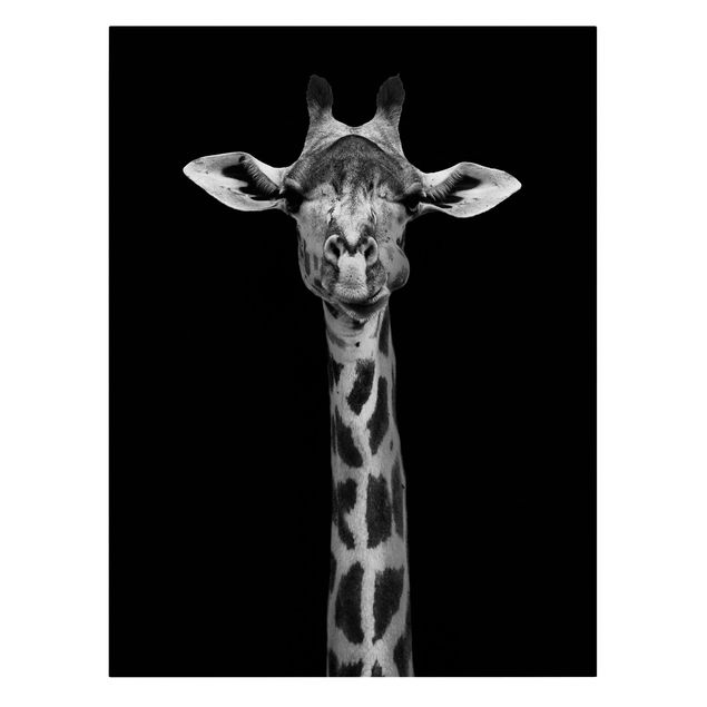 Lienzos animal Dark Giraffe Portrait