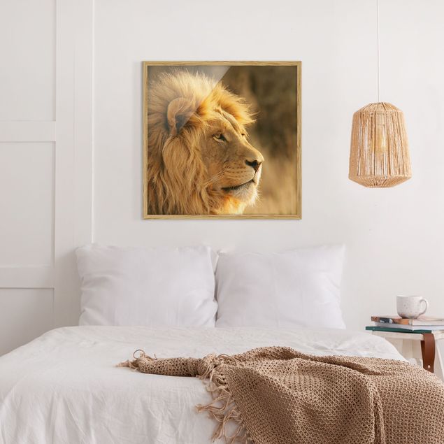 Pósters enmarcados de animales King Lion