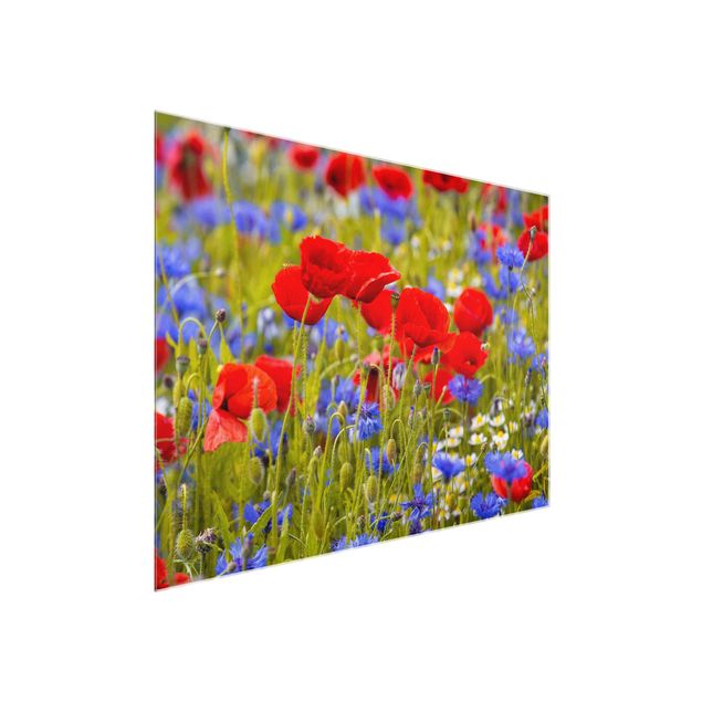 Cuadros de cristal flores Summer Meadow With Poppies And Cornflowers