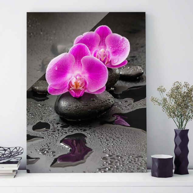 Cuadros de cristal orquídeas Pink Orchid Flower On Stones With Drops