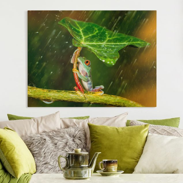 Decoración en la cocina Frog In The Rain