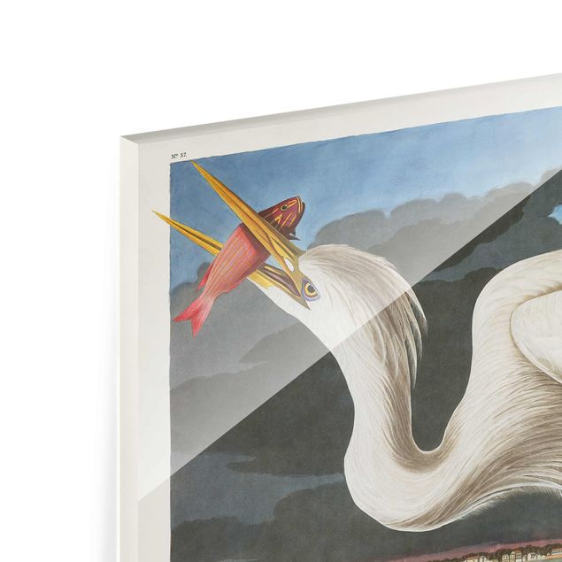 Tableros magnéticos de vidrio Vintage Board Great White Egret