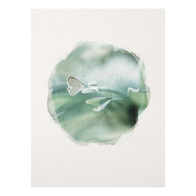 Cuadros de plantas naturales WaterColours - Butterfly And Dew Drops In Pastel Green