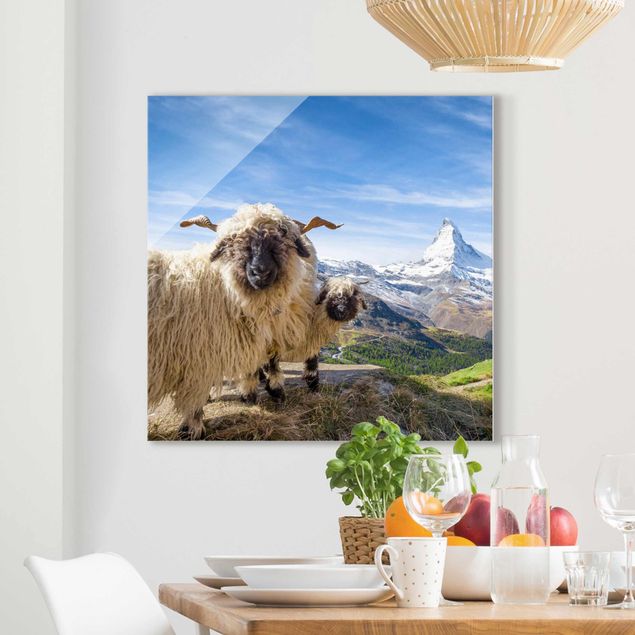 Decoración cocina Blacknose Sheep Of Zermatt