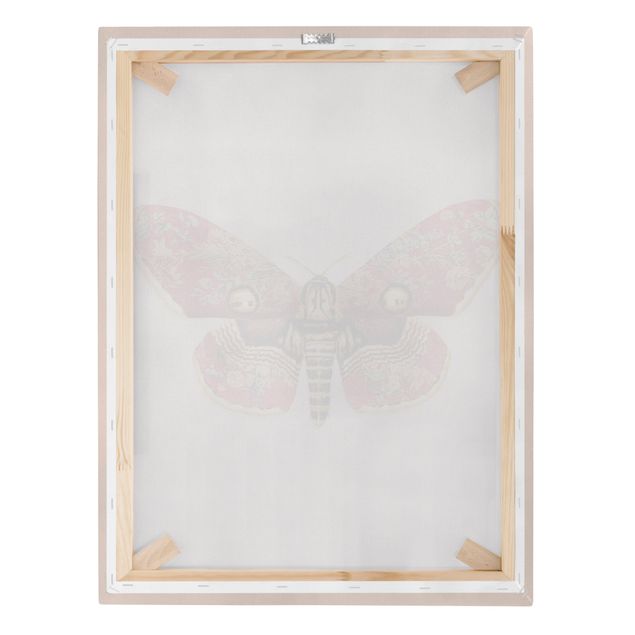 Cuadros Vintage Moth