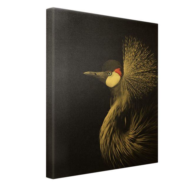 Cuadros decorativos Black Crowned Crane