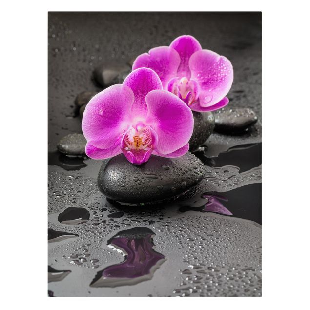 Lienzos de flores Pink Orchid Flower On Stones With Drops