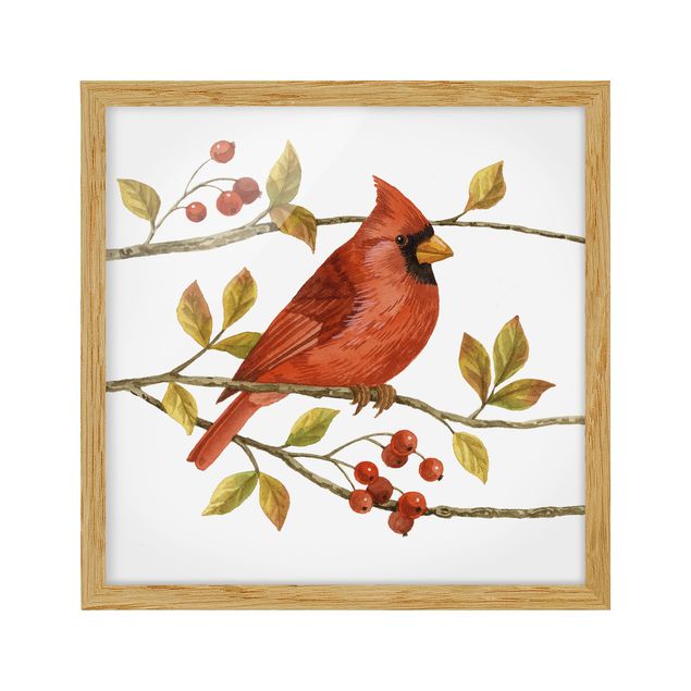 Cuadros retro vintage Birds And Berries - Northern Cardinal