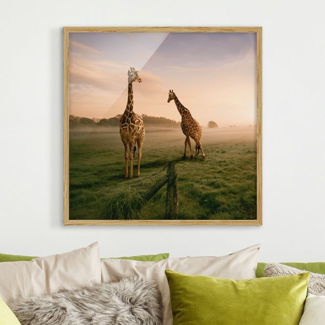 Cuadro jirafas Surreal Giraffes